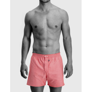 Claesen's Hybride Boxer | Rood