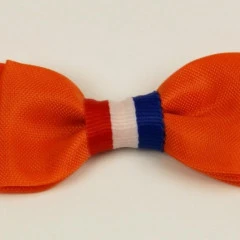 Mini Vlinderstrikje Rever Strikje