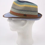 Gottmann Trilby Hoed | Multi Color