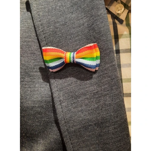 Mini Strik Regenboog Vlag | www.pietkoopmans.nl