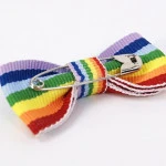 Mini Strik Regenboog Vlag | www.pietkoopmans.nl
