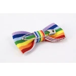 Mini Strik Regenboog Vlag | www.pietkoopmans.nl