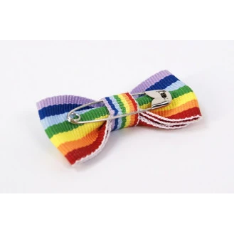 Mini Strik Regenboog Vlag | www.pietkoopmans.nl