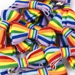 Mini Strik Regenboog Vlag | www.pietkoopmans.nl