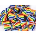 Mini Strik Regenboog Vlag | www.pietkoopmans.nl