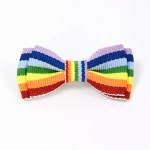 Mini Strik Regenboog Vlag | www.pietkoopmans.nl