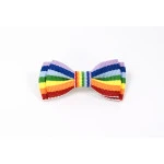 Mini Strik Regenboog Vlag | www.pietkoopmans.nl