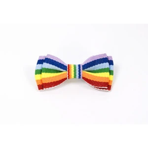 Mini Strik Regenboog Vlag