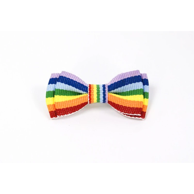 Mini Strik Regenboog Vlag | www.pietkoopmans.nl