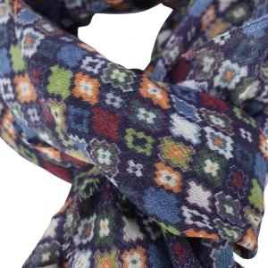 Dante Wol Dun Geweven Shawl | Kleurrijk