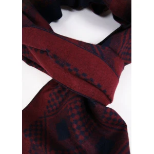 Shawl Geweven Viscose | Bordo Marine Print