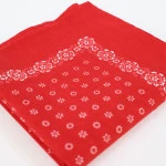 Traditionele Boerenzakdoek | Rood | www.pietkoopmans.nl
