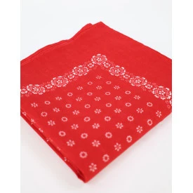 Traditionele Boerenzakdoek | Rood