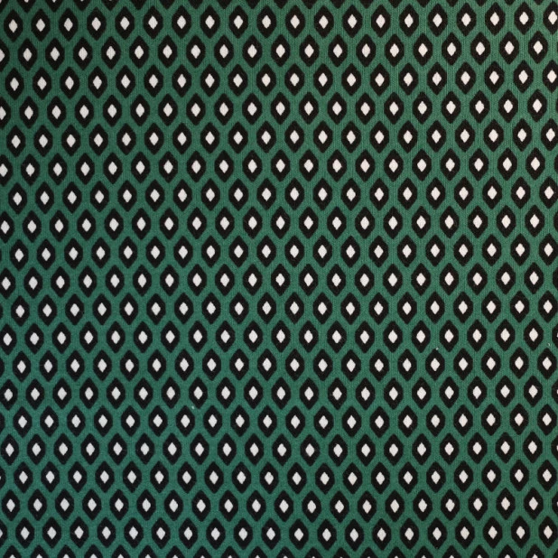 Ringella Nachthemd Korte Mouw| Groen Print | www.pietkoopmans.nl