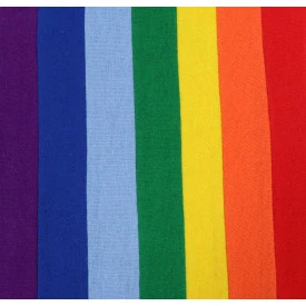 College Scarf | Rainbow
