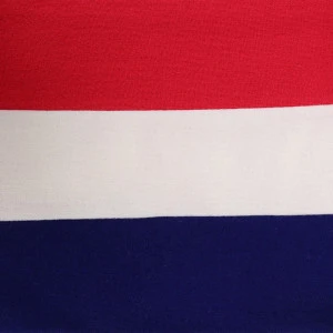 College Scarf Dutch Flag | Rood Wit Blauw