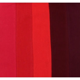 College Scarf | Waterloovile
