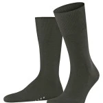 Falke Sokken Airport | Groen | www.pietkoopmans.nl