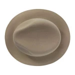 Panizza Fedora Wolvilt Hoed | Beige | www.pietkoopmans.nl