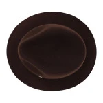 Panizza Fedora Wolvilt Hoed | Brown | www.pietkoopmans.nl