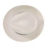 Panizza Panama Hoed | Blue Stripe Band | www.pietkoopmans.nl