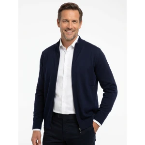 Pierre Cardin Merinowollen Vest | Blauw